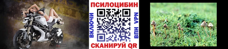 Псилоцибиновые грибы MAGIC MUSHROOMS  где можно купить   Югорск 